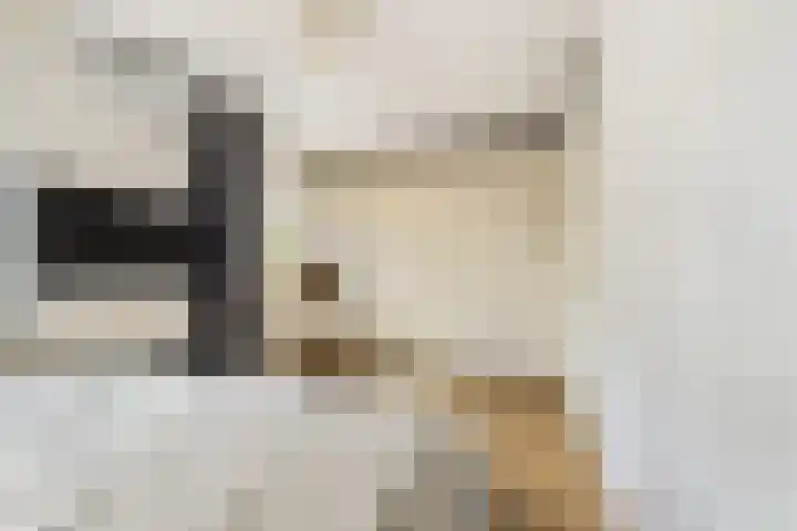 Stroomwal 8 Heemskerk thumbnail 15