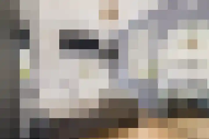 Stroomwal 8 Heemskerk thumbnail 18
