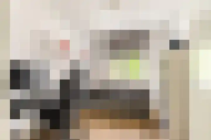 Stroomwal 8 Heemskerk thumbnail 19