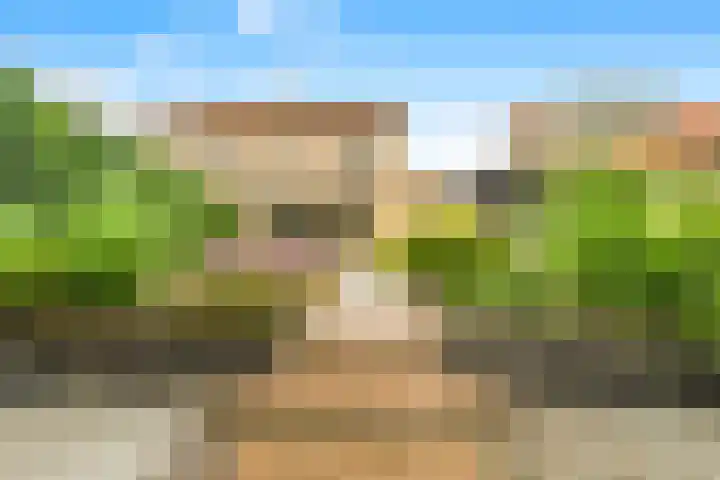 Stroomwal 8 Heemskerk thumbnail 25