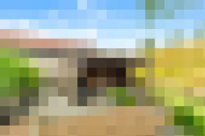 Stroomwal 8 Heemskerk thumbnail 28