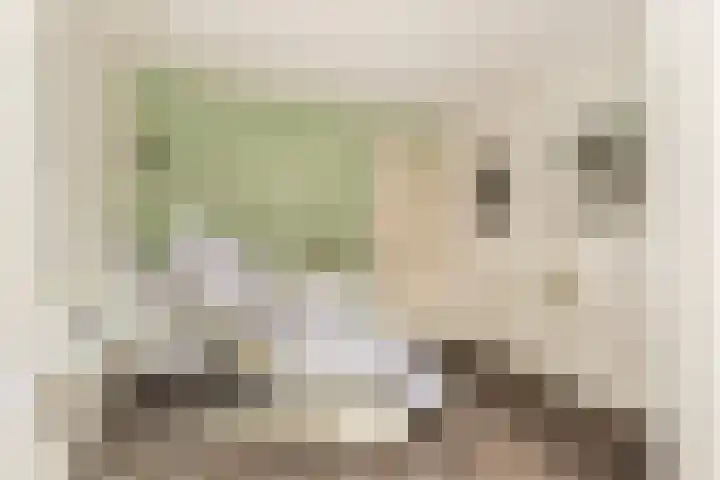 Stroomwal 8 Heemskerk thumbnail 31