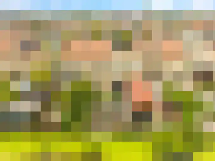Stroomwal 8 Heemskerk thumbnail 32