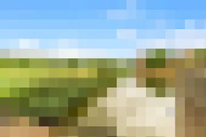 Stroomwal 8 Heemskerk thumbnail 34