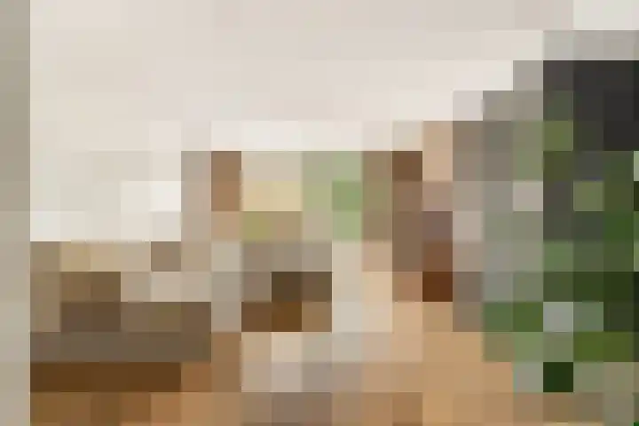 Stroomwal 8 Heemskerk thumbnail 5