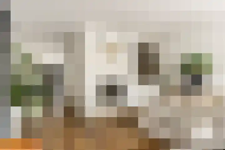 Stroomwal 8 Heemskerk thumbnail 6