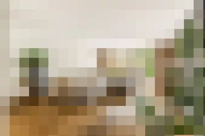 Stroomwal 8 Heemskerk thumbnail 7