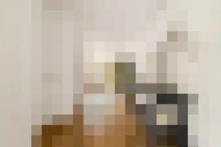 Stroomwal 8 Heemskerk thumbnail 8
