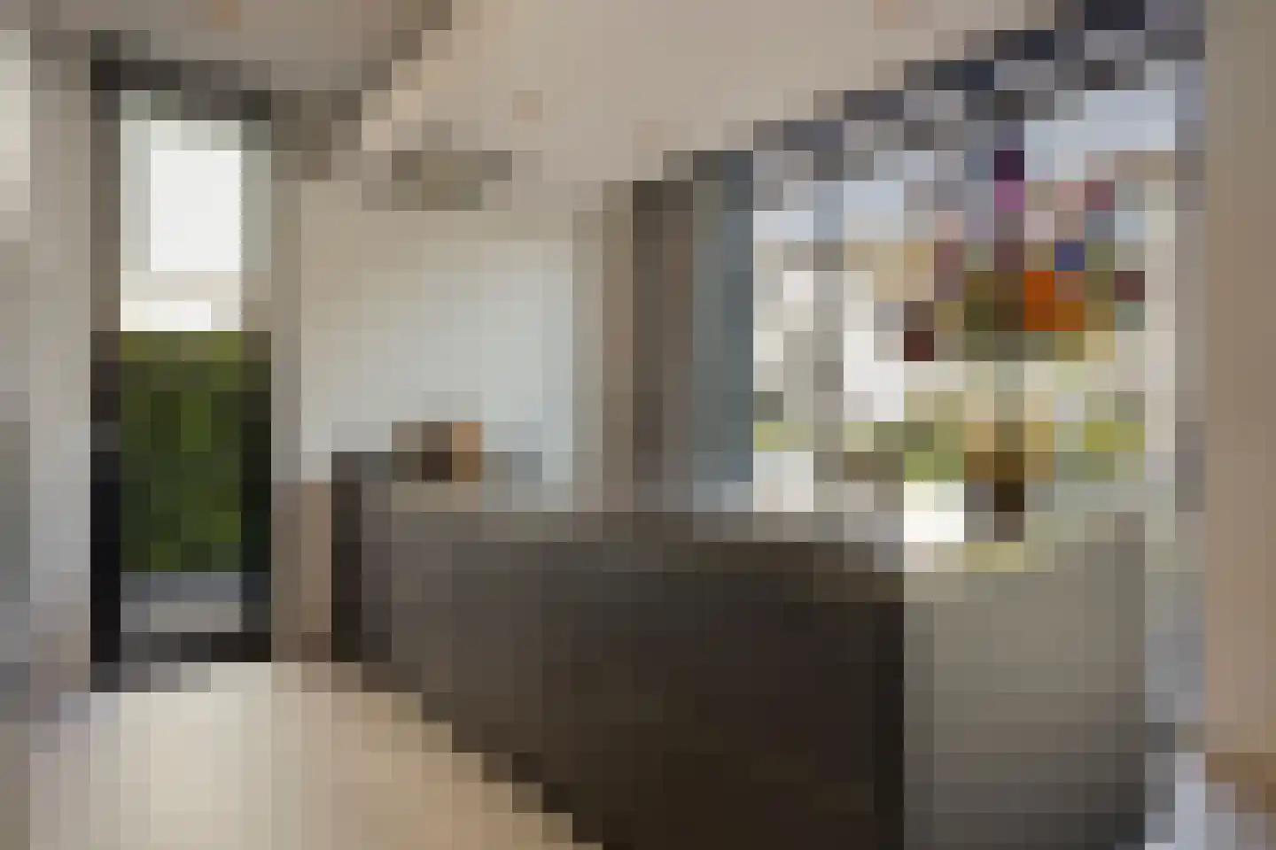 Stroomwal 9 Heemskerk thumbnail 11