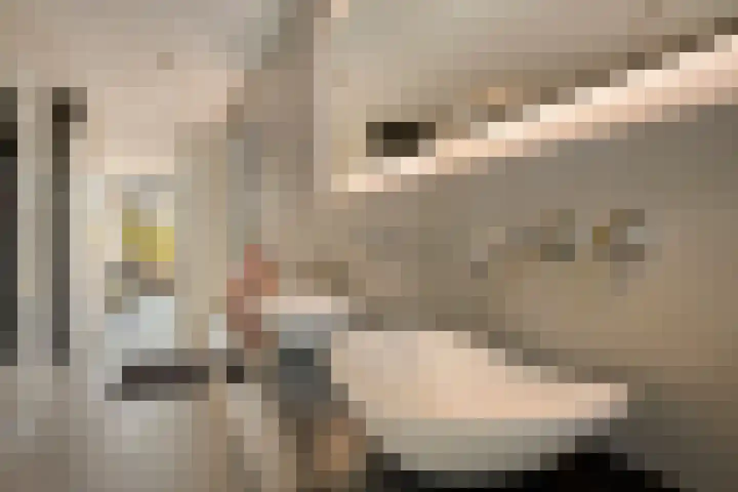 Stroomwal 9 Heemskerk thumbnail 18