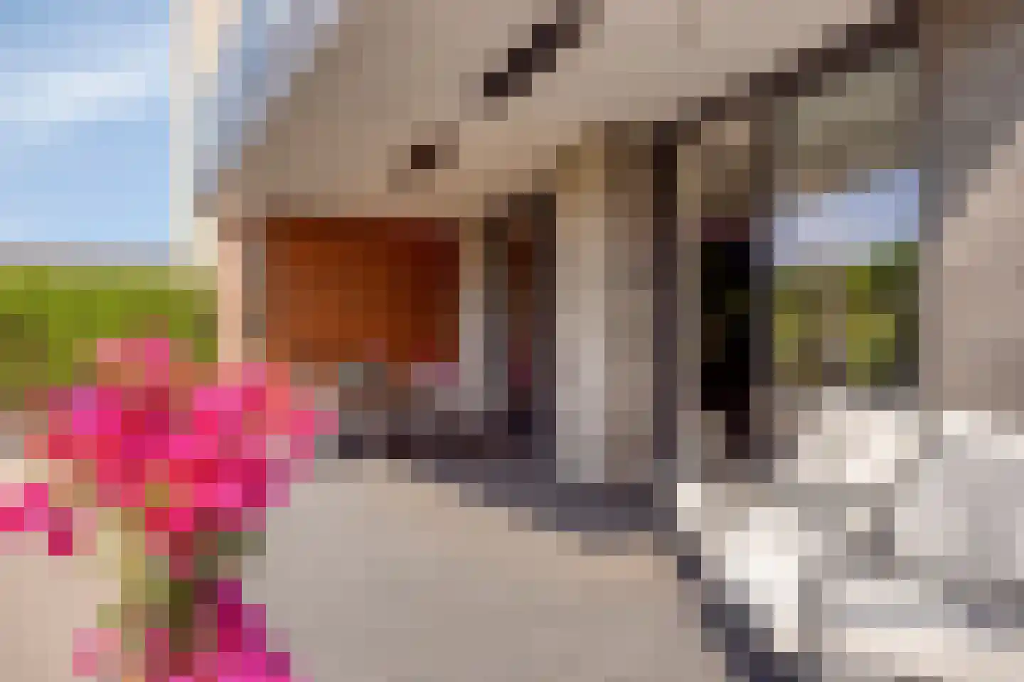 Stroomwal 9 Heemskerk thumbnail 37