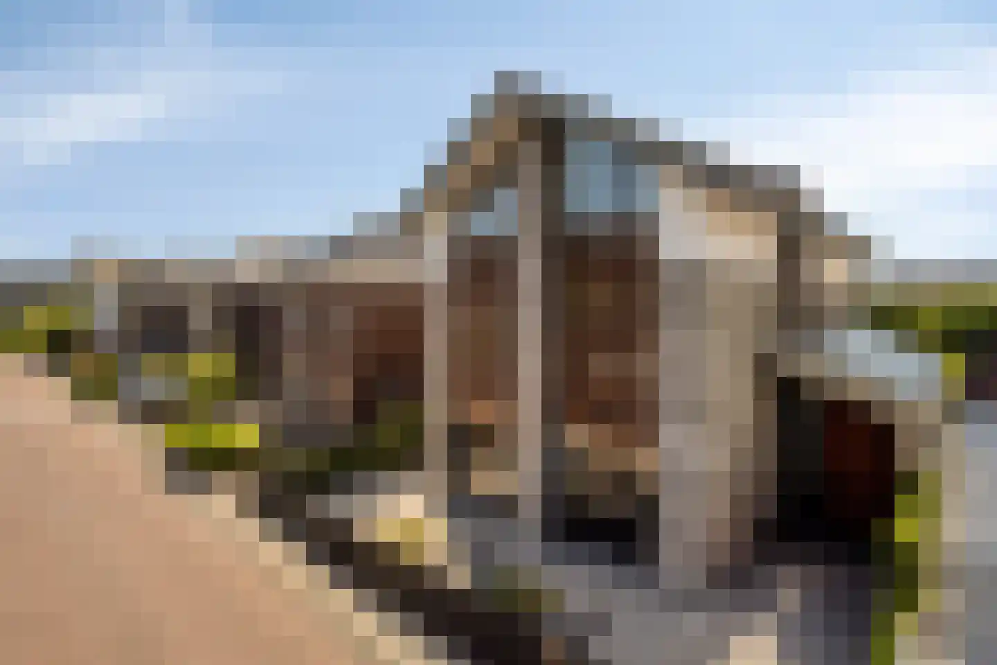 Stroomwal 9 Heemskerk thumbnail 4