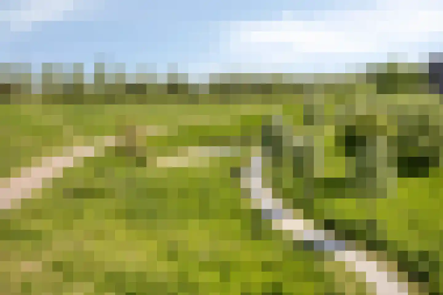 Stroomwal 9 Heemskerk thumbnail 42