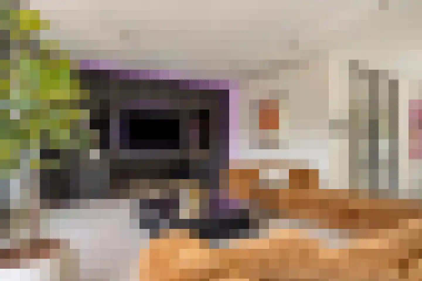 Stroomwal 9 Heemskerk thumbnail 6