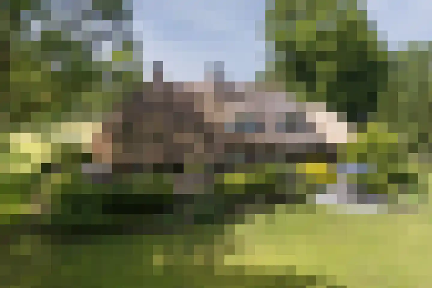 Strootsweg 390 Enschede thumbnail 71