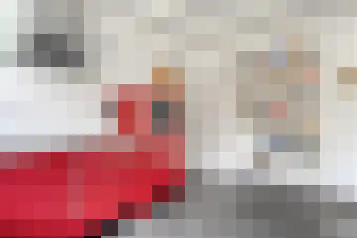 Stroovledder 11 a Dwingeloo thumbnail 12