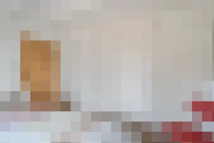 Stroovledder 11 a Dwingeloo thumbnail 16