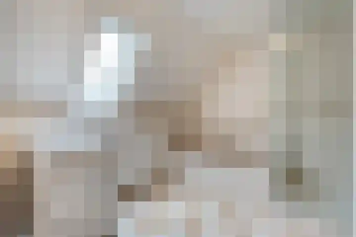 Stroovledder 11 a Dwingeloo thumbnail 23
