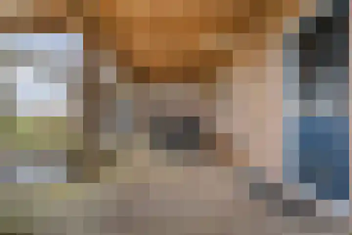 Stroovledder 11 a Dwingeloo thumbnail 28