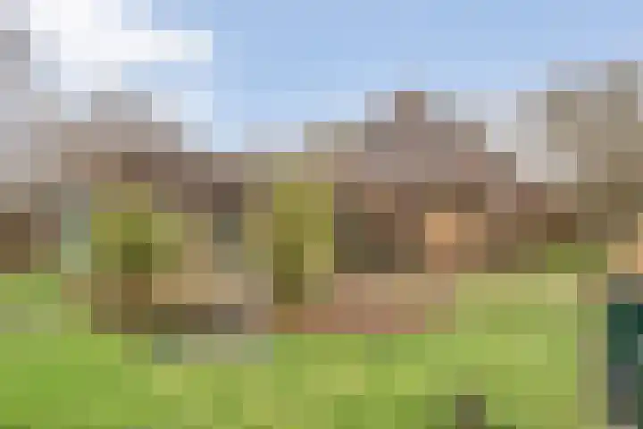 Stroovledder 11 a Dwingeloo thumbnail 30