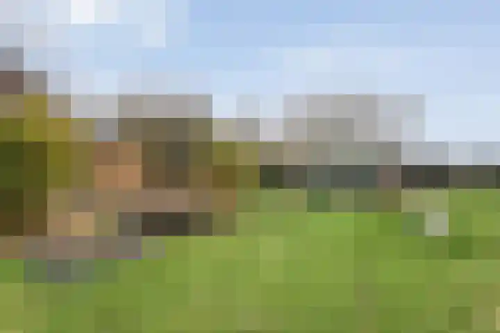 Stroovledder 11 a Dwingeloo thumbnail 31