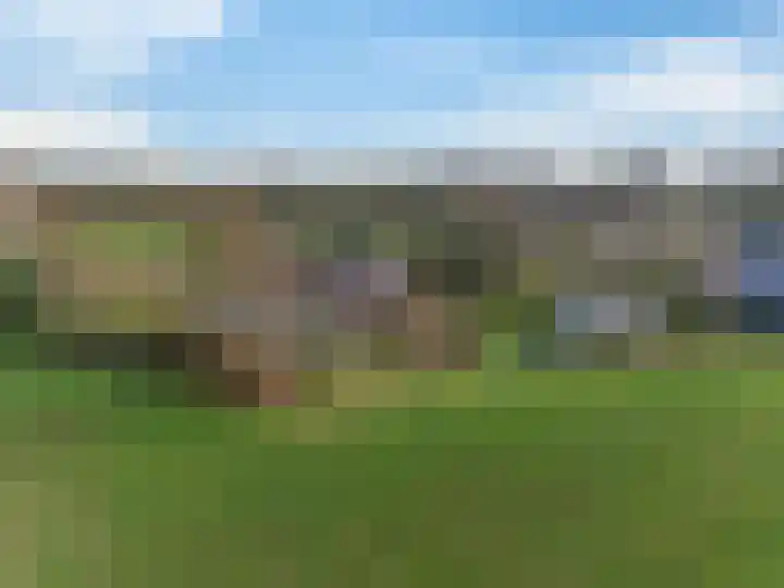Stroovledder 11 a Dwingeloo thumbnail 33