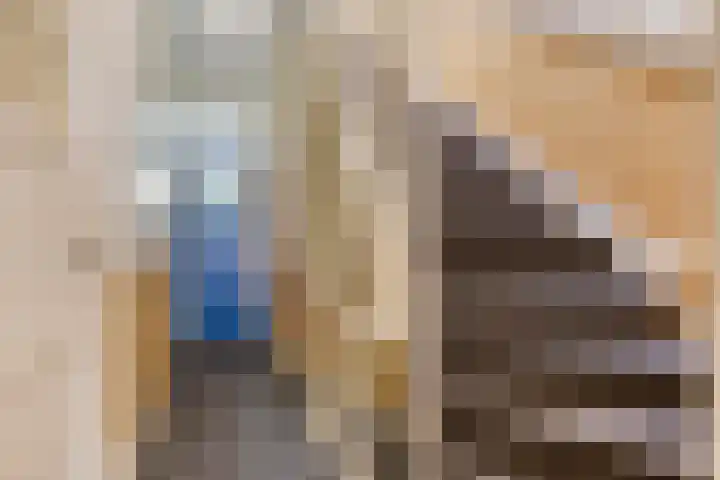 Stroovledder 11 a Dwingeloo thumbnail 34