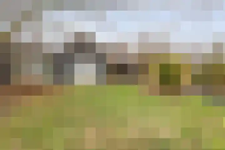 Stroovledder 11 a Dwingeloo thumbnail 34