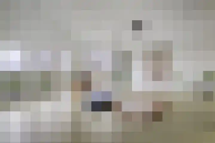 Stroovledder 11 a Dwingeloo thumbnail 37