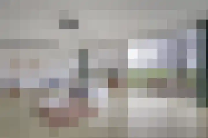 Stroovledder 11 a Dwingeloo thumbnail 38