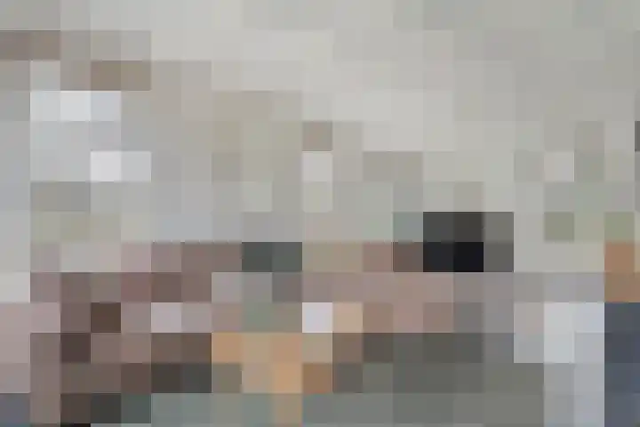 Stroovledder 11 a Dwingeloo thumbnail 4