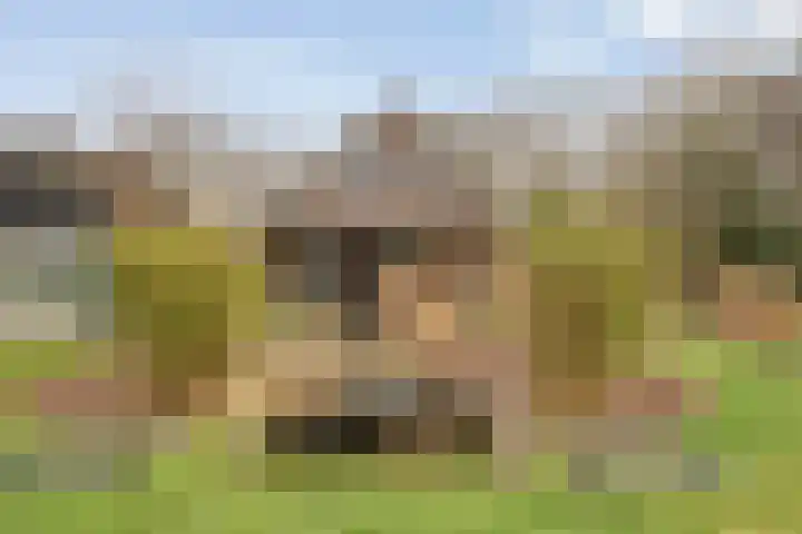 Stroovledder 11 a Dwingeloo thumbnail 42