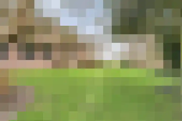 Stroovledder 11 a Dwingeloo thumbnail 43