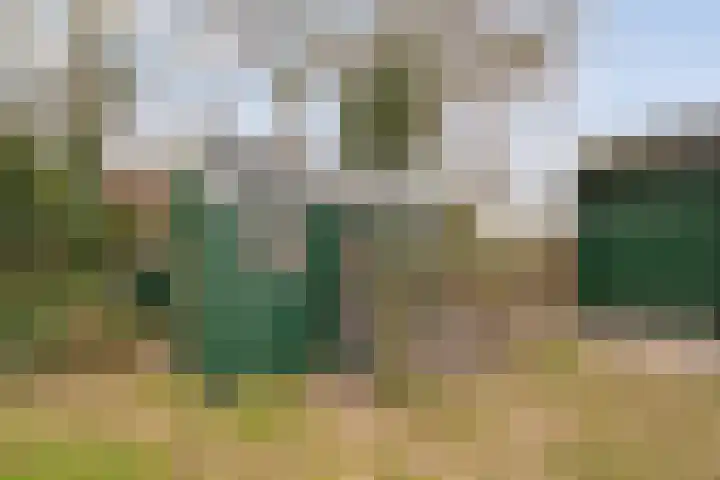 Stroovledder 11 a Dwingeloo thumbnail 44