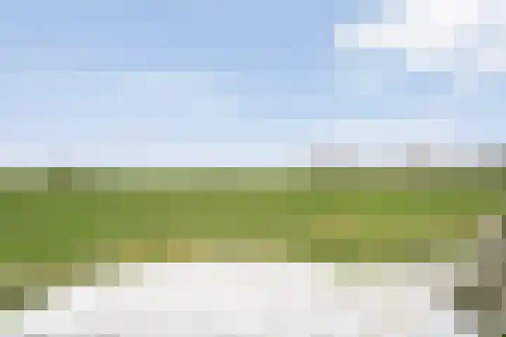 Stroovledder 11 a Dwingeloo thumbnail 45