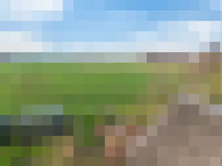 Stroovledder 11 a Dwingeloo thumbnail 46