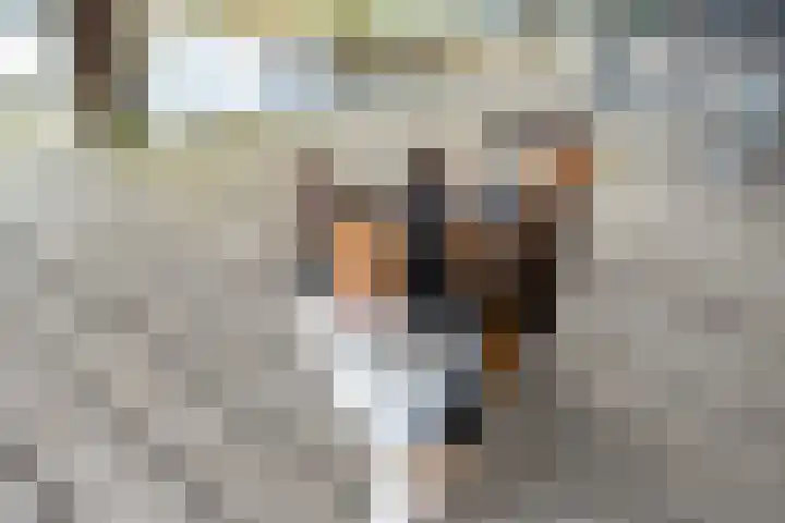 Stroovledder 11 a Dwingeloo thumbnail 47