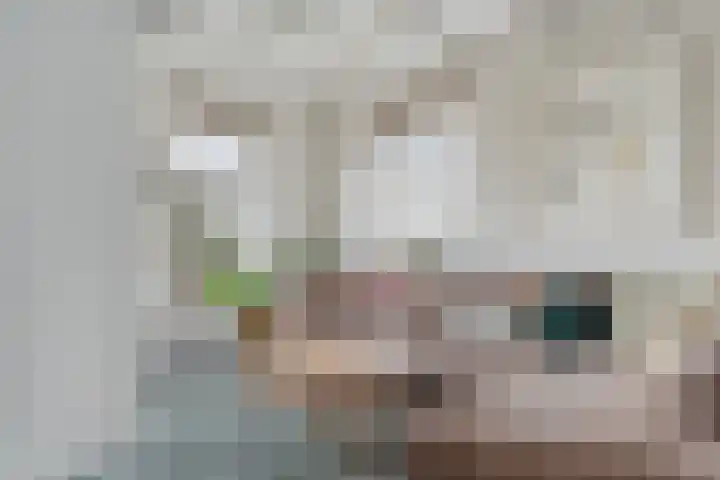 Stroovledder 11 a Dwingeloo thumbnail 5