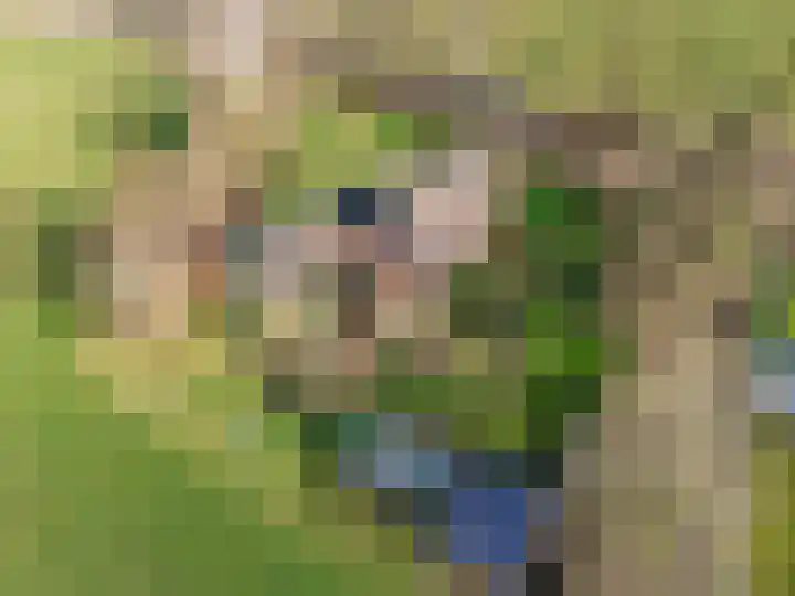 Stroovledder 11 a Dwingeloo thumbnail 54