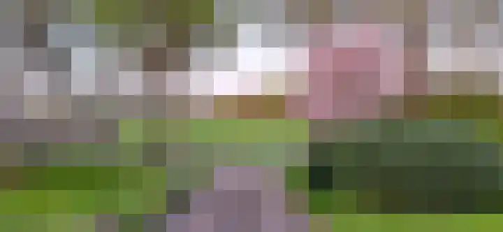 Stroovledder 11 a Dwingeloo thumbnail 56