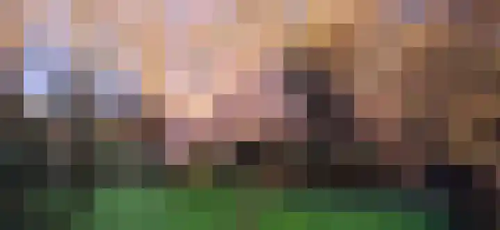 Stroovledder 11 a Dwingeloo thumbnail 57