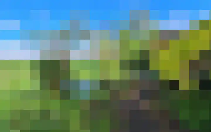 Stroovledder 11 a Dwingeloo thumbnail 60