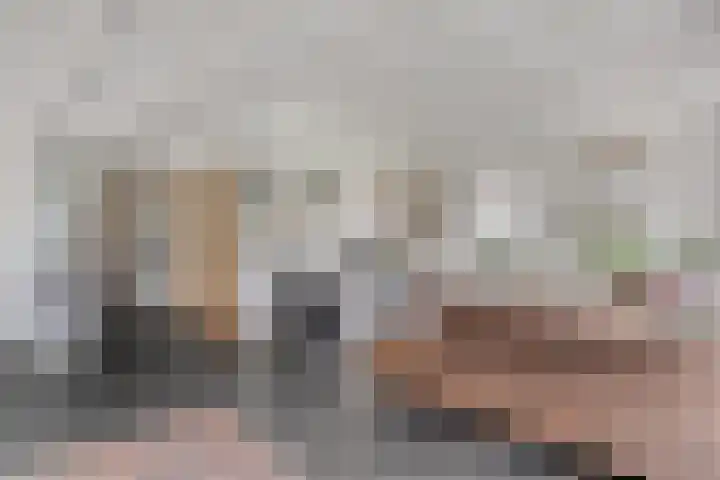 Stroovledder 11 a Dwingeloo thumbnail 7