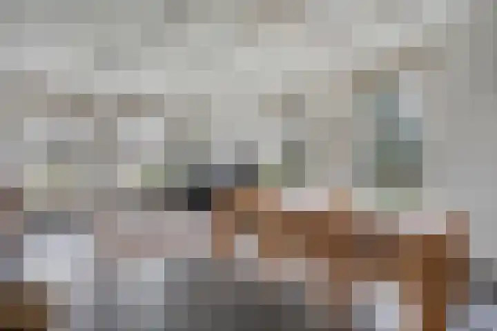 Stroovledder 11 a Dwingeloo thumbnail 9