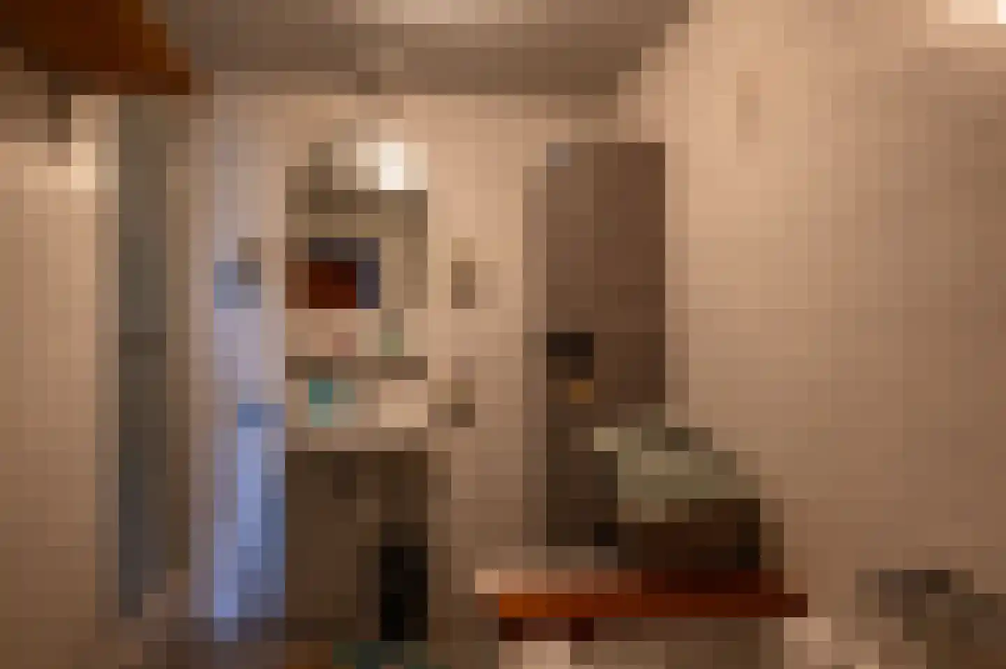 Stroovledder 6 Dwingeloo thumbnail 10