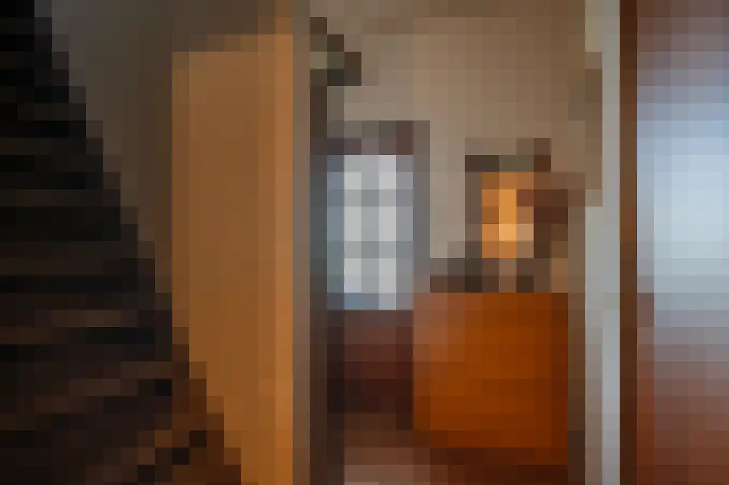 Stroovledder 6 Dwingeloo thumbnail 11