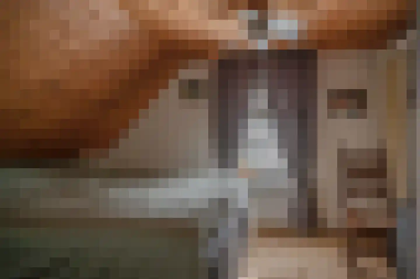 Stroovledder 6 Dwingeloo thumbnail 13