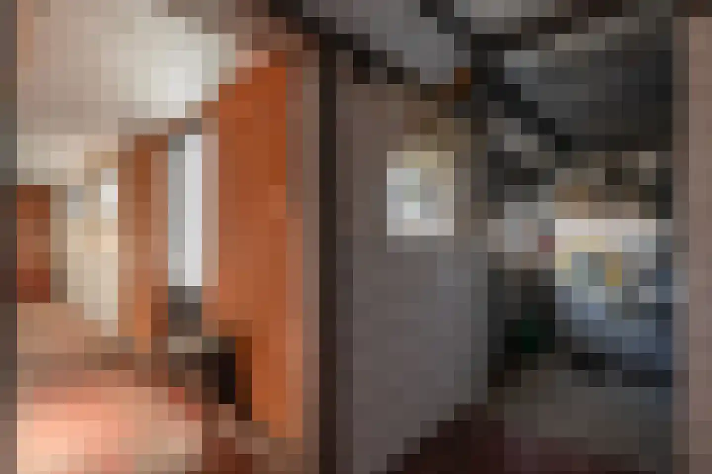 Stroovledder 6 Dwingeloo thumbnail 16
