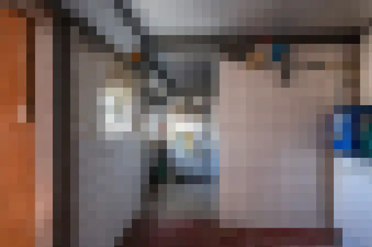 Stroovledder 6 Dwingeloo thumbnail 17