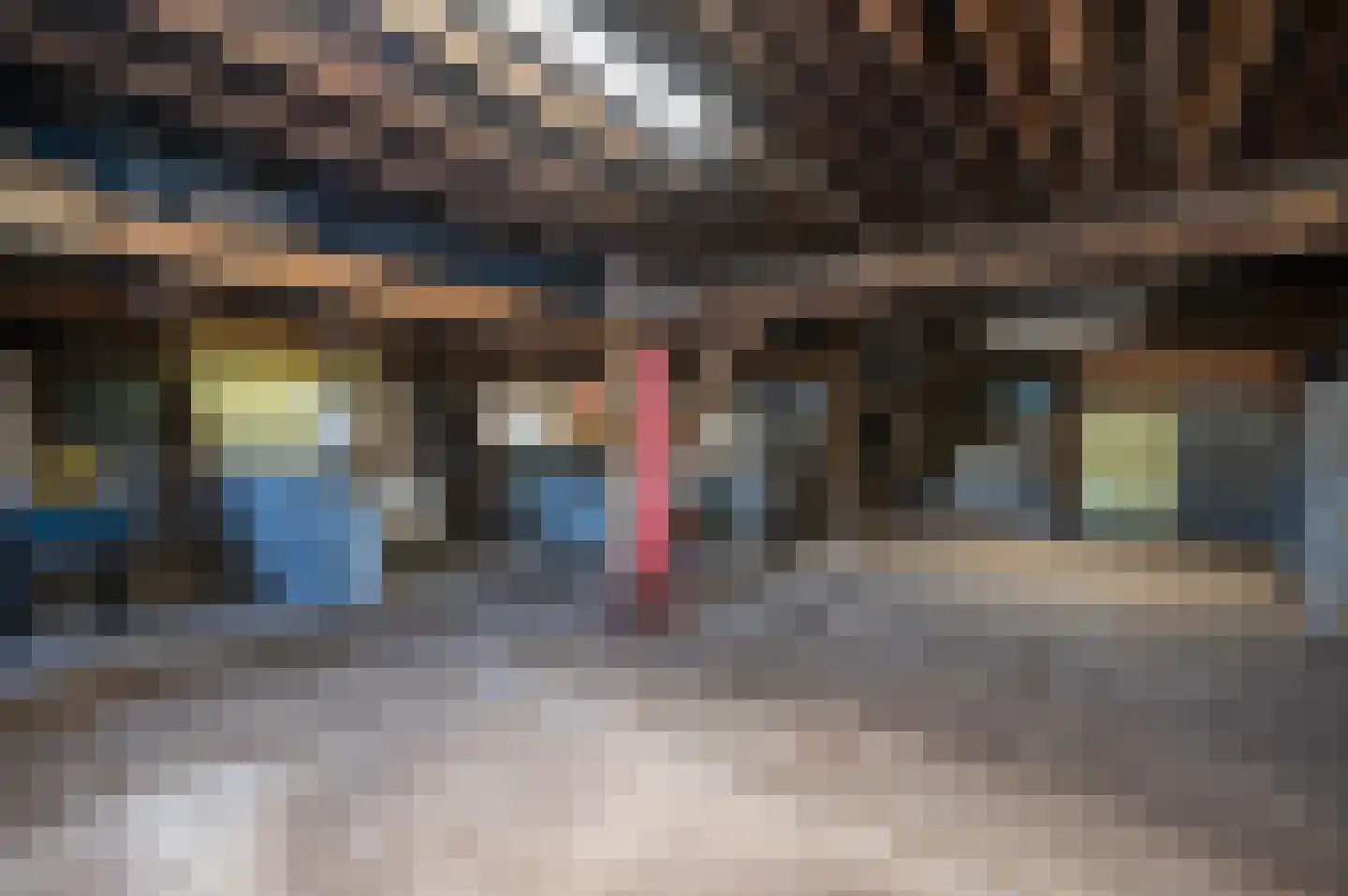 Stroovledder 6 Dwingeloo thumbnail 21